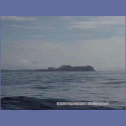 2003_3945_Bate_Passage_Pine_Island.html