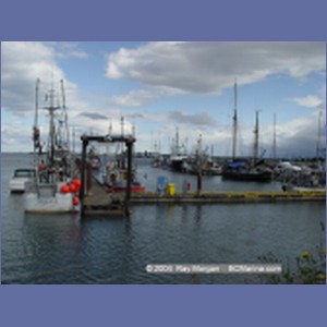 2004_6171_Comox_Harbour.JPG