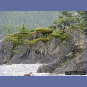 2006_2238_Coronation_Island_Alaska.JPG