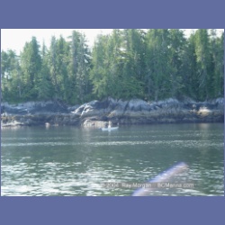 2003_4698_Goose_Bay_Rivers_Inlet.html