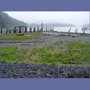 2006_1783_Kimshan_Cove_Alaska.JPG