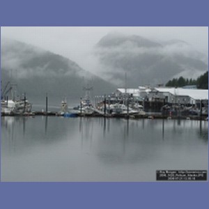 2006_1628_Pelican_Alaska.JPG