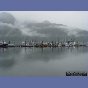 2006_1629_Pelican_Alaska.JPG