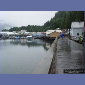 2006_1630_Pelican_Alaska.JPG