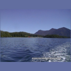 2002_135_Meares_Island_Tofino_Inlet.html