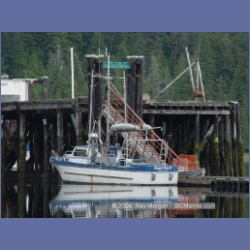 2003_3836_Winter_Harbour_BC.html
